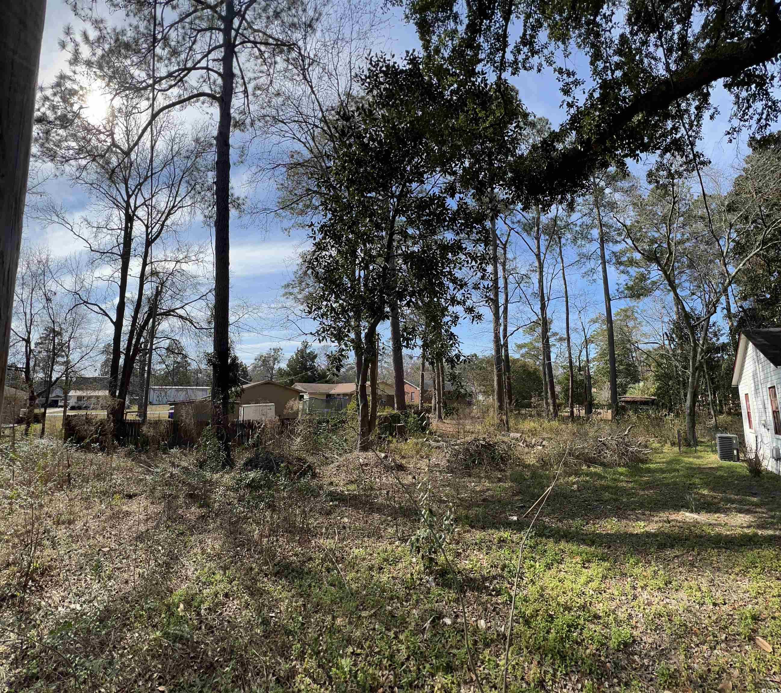 2208 6th Avenue Conway, SC 29527 - Photo 2 of 5 View of yard with central AC