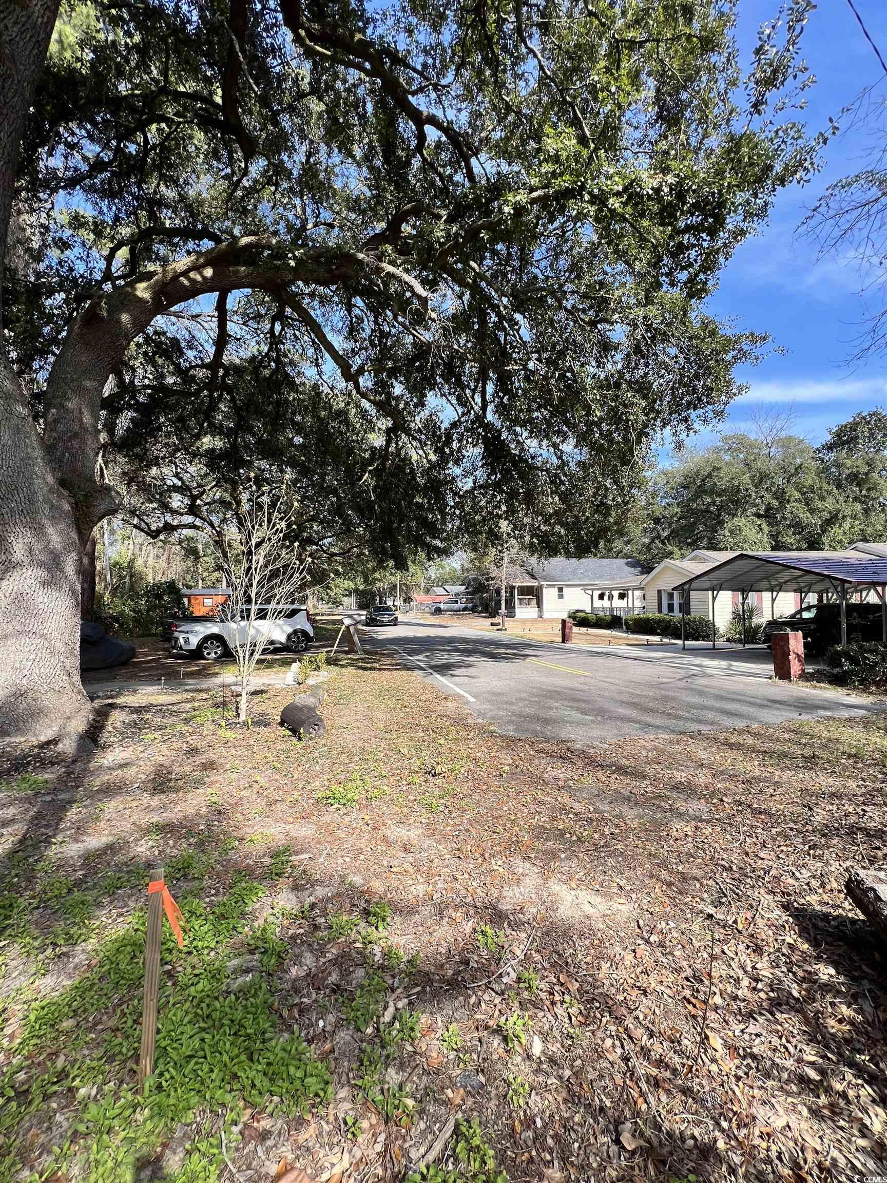 2208 6th Avenue Conway, SC 29527 - Photo 3 of 5 View of yard with a carport