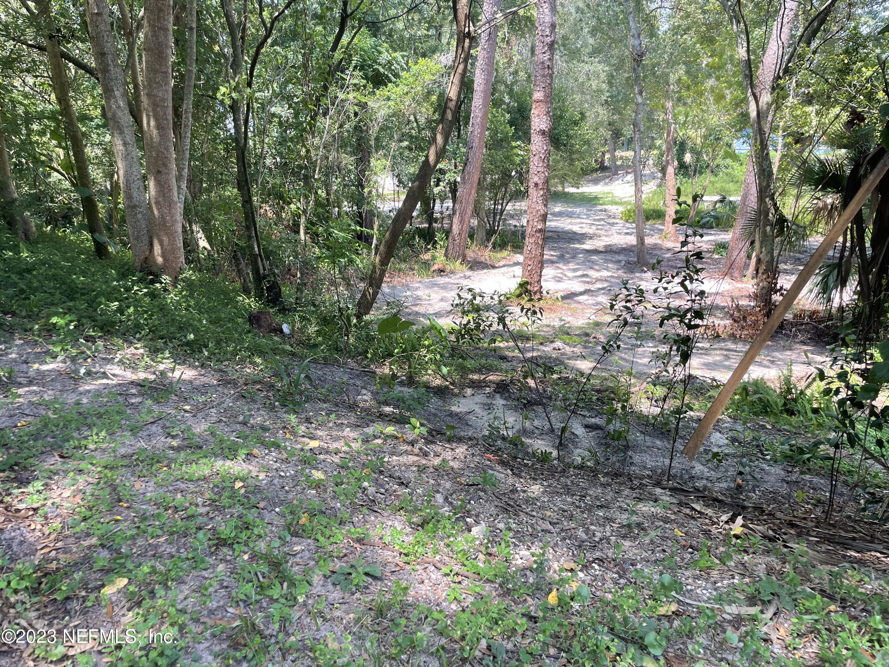 487 Nitram Street Jacksonville, FL 32211 - Photo 1 of 5 a view of a forest with trees in the background