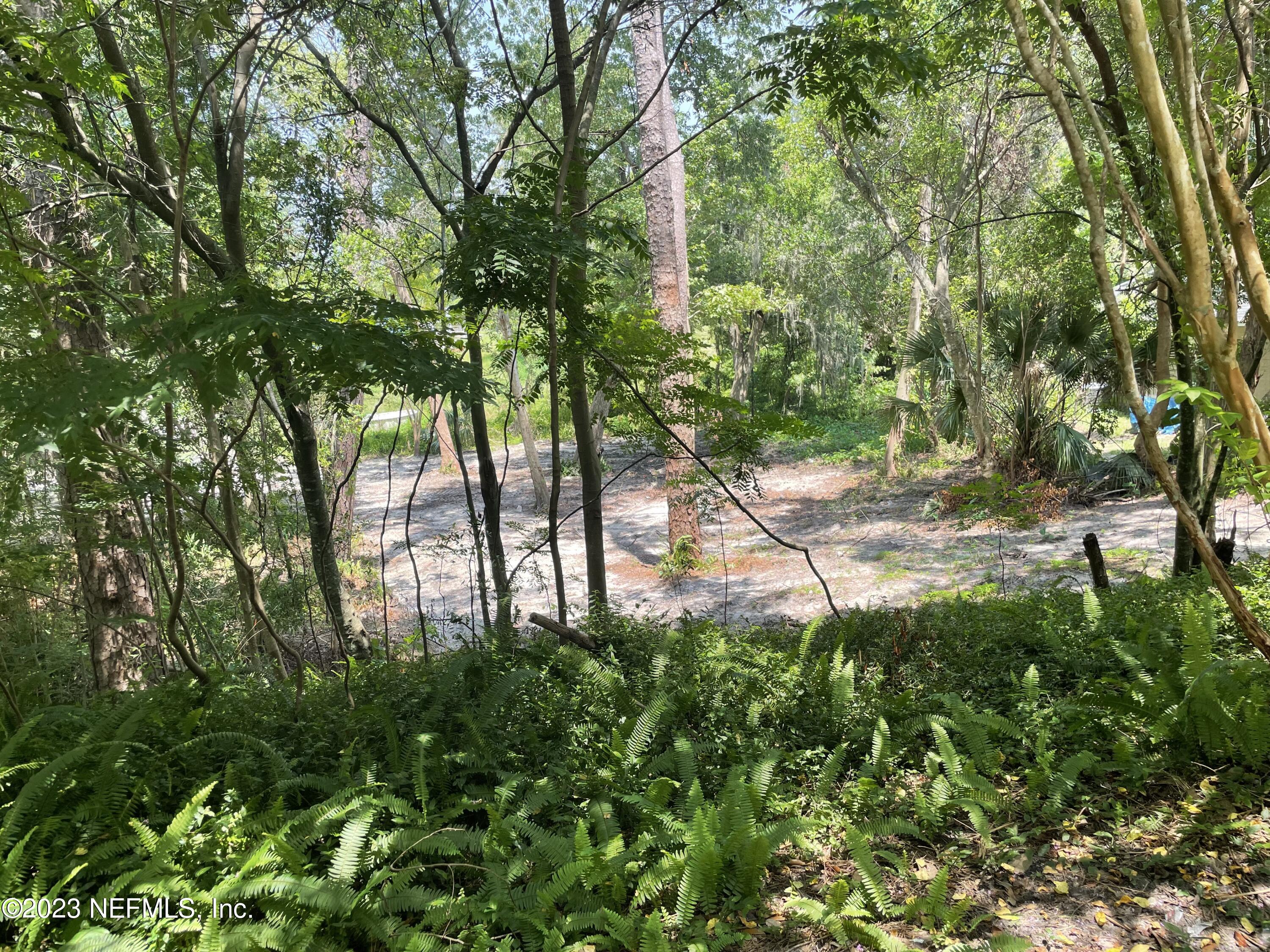 487 Nitram Street Jacksonville, FL 32211 - Photo 2 of 5 a backyard of a house with lots of green space