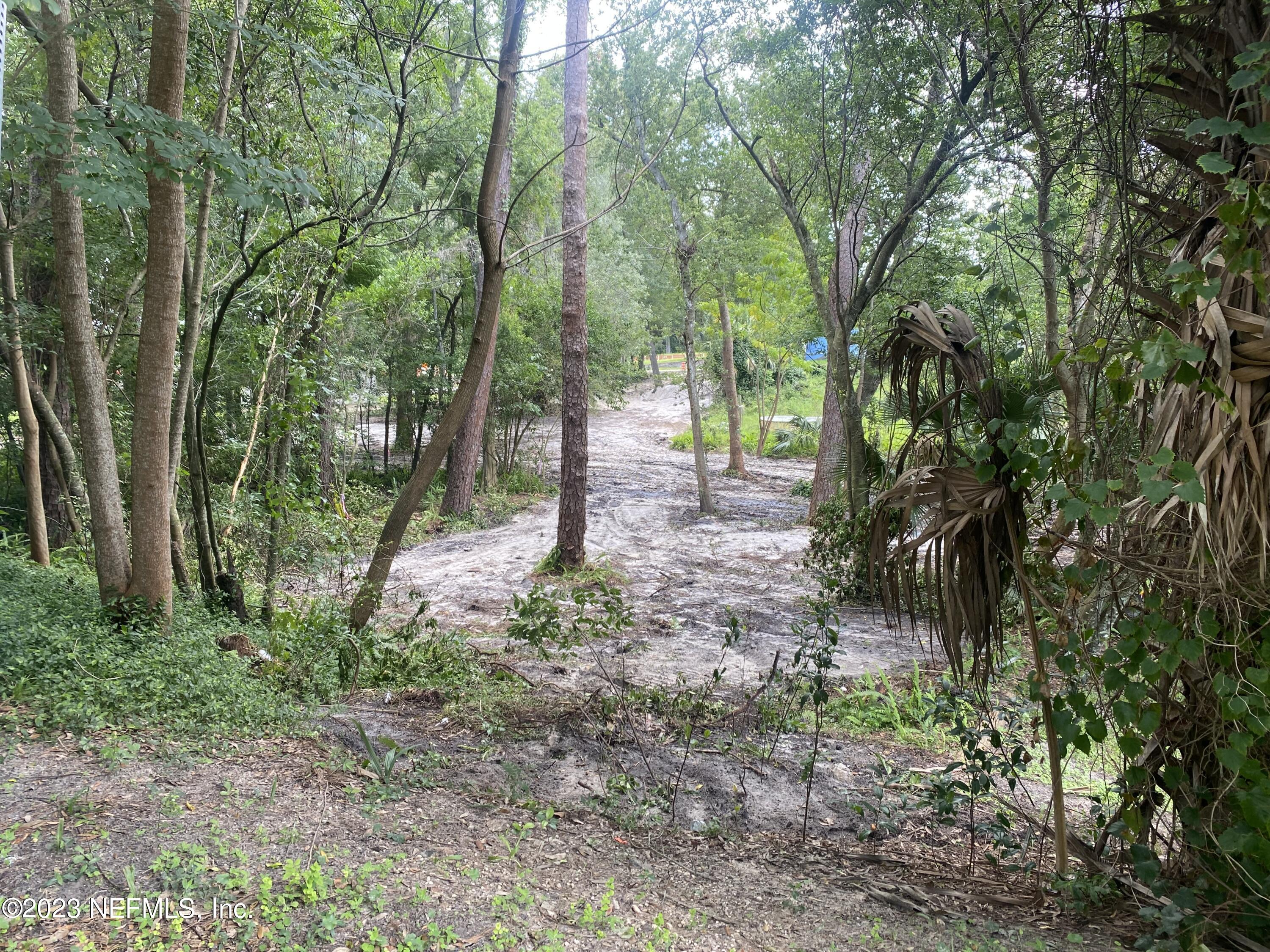 487 Nitram Street Jacksonville, FL 32211 - Photo 3 of 5 a backyard of a house with lots of green space