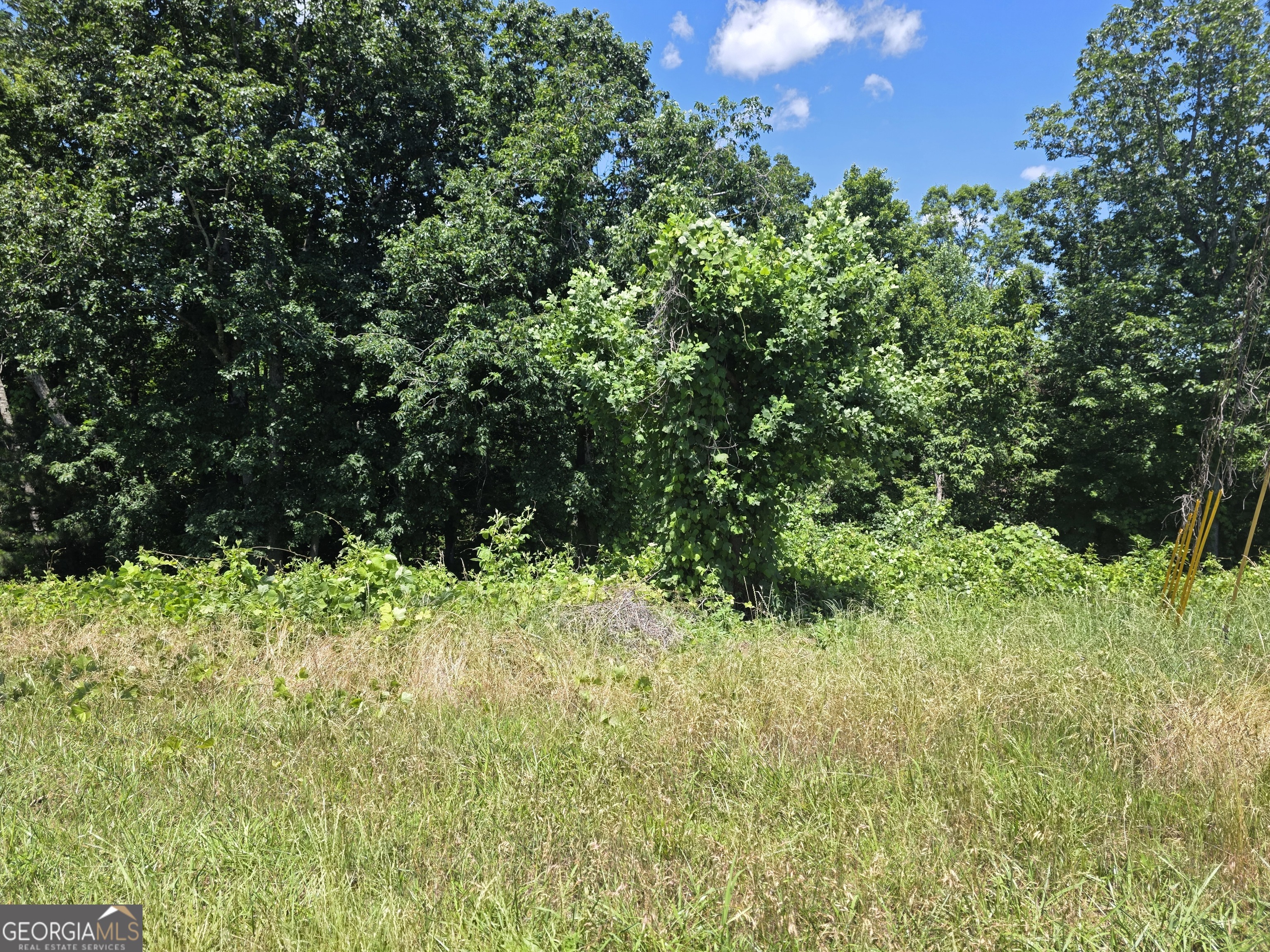 0 Cowart Mountain Tract 2 Road Jasper, GA 30143 - Photo 2 of 19
