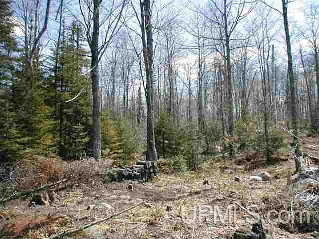 Tbd Off Craig Lake Road Michigamme, MI 49861 - Photo 11 of 23