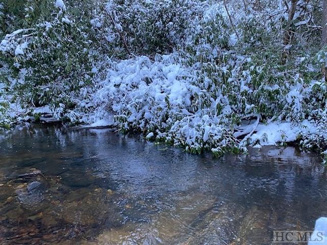 Tbd Rhododendron Court Sapphire, NC 28774 - Photo 2 of 2 Gallery Image 2