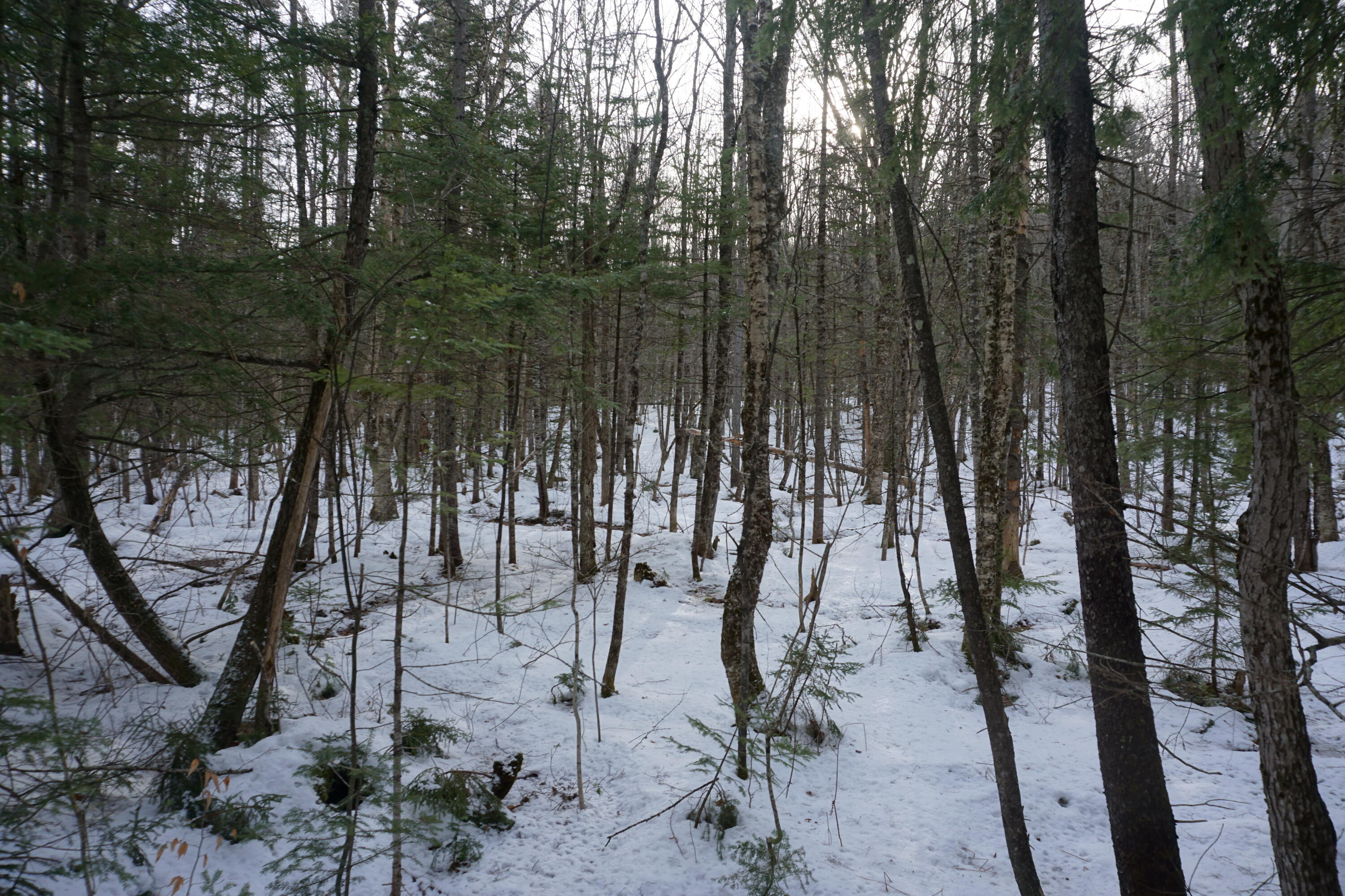 M13-l18a-2 Redding Road Bryant Pond, ME 04219 - Photo 8 of 29 DSC04777