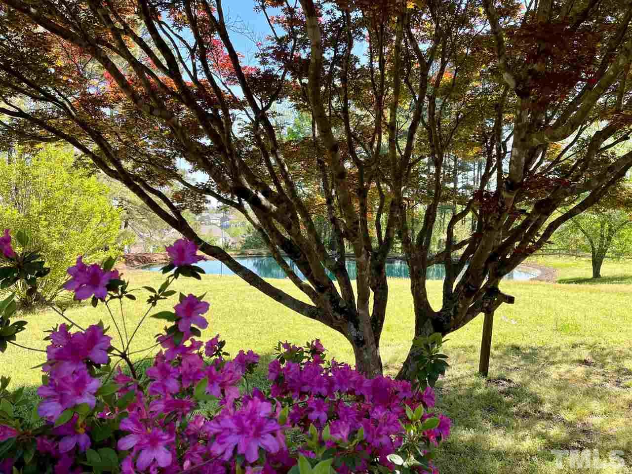 7612 Green Level Church Road Apex, NC 27523 - Photo 12 of 30 Gallery Image 12