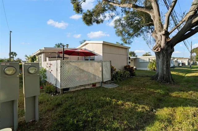 a view of a backyard with large trees