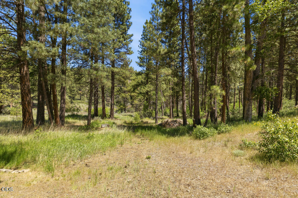 3587 Gold Run Drive Chiloquin, OR 97624 - Photo 62 of 62