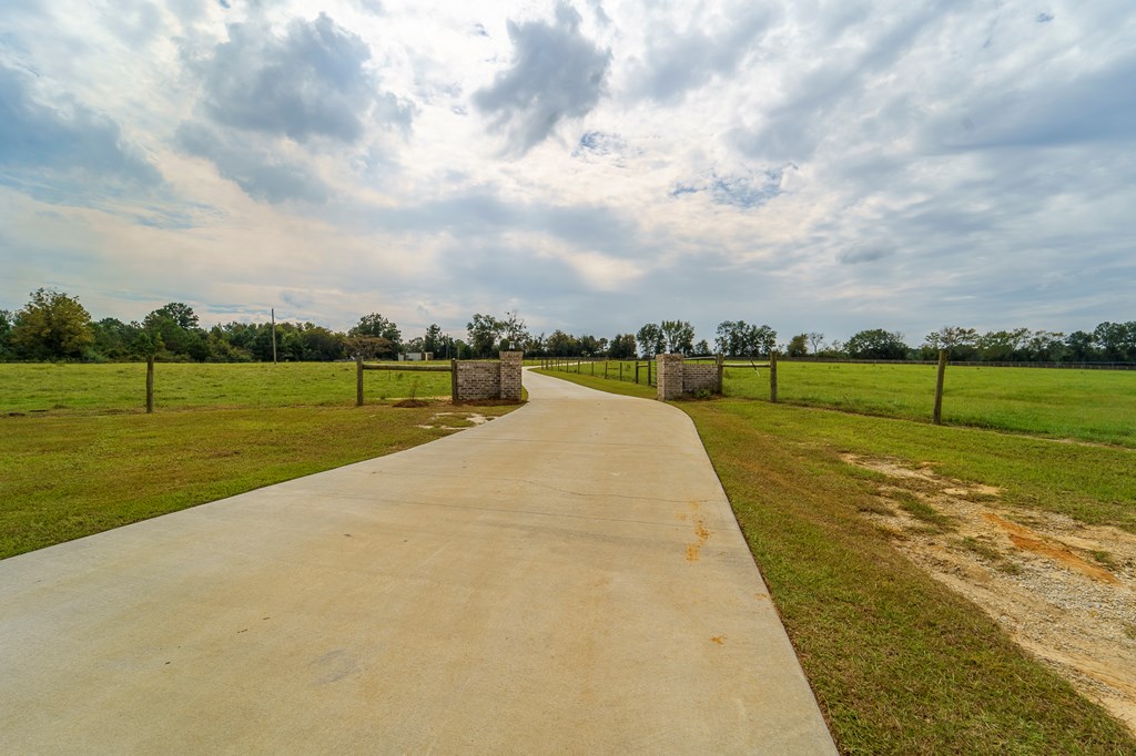 427 Ed Tolar Road Pansey, AL 36370 - Photo 53 of 58
