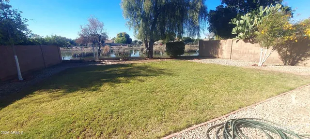 a view of a backyard with plants and tree