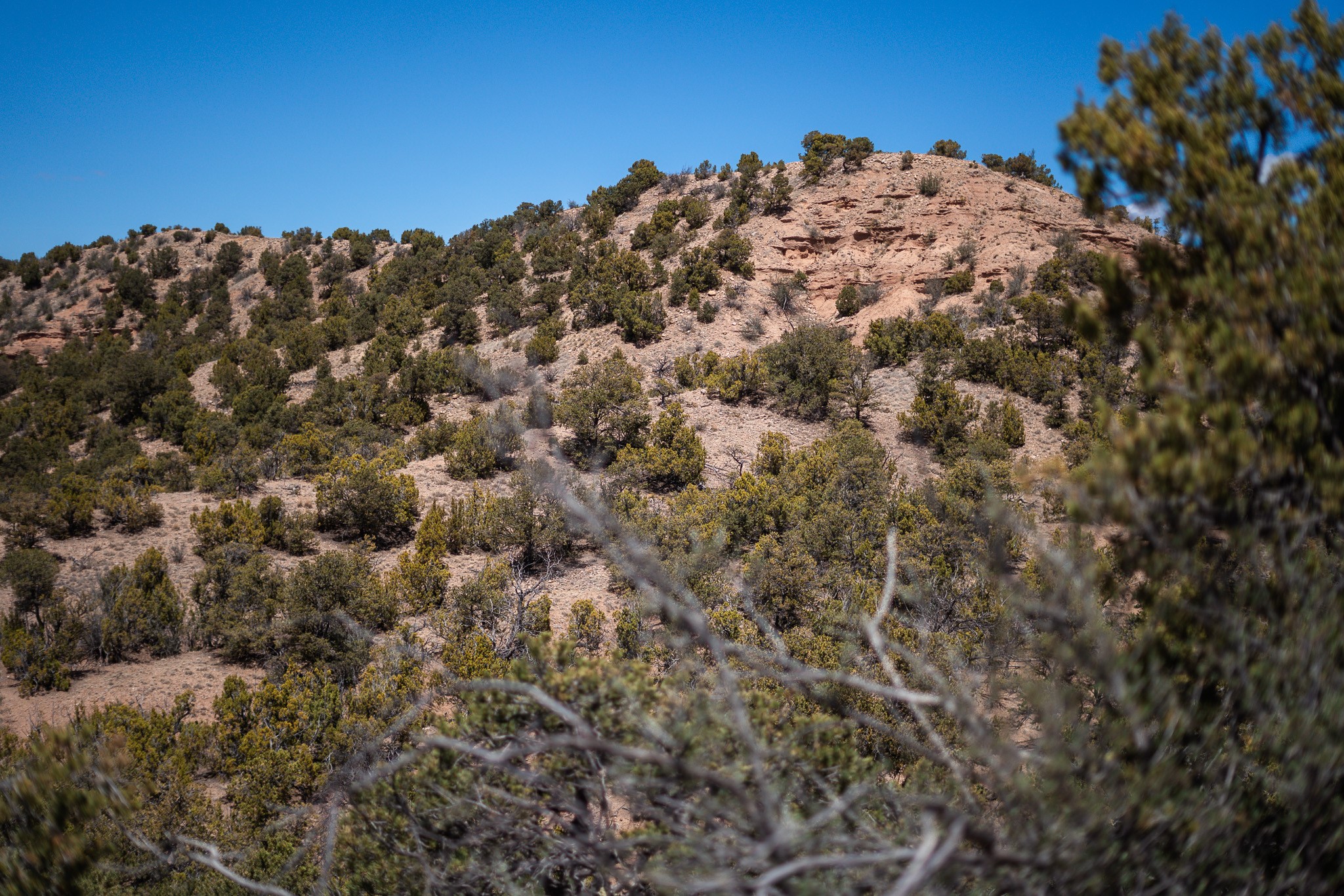 67-acres Red Ridge Santa Fe, NM 87501 - Photo 30 of 40 North Lot