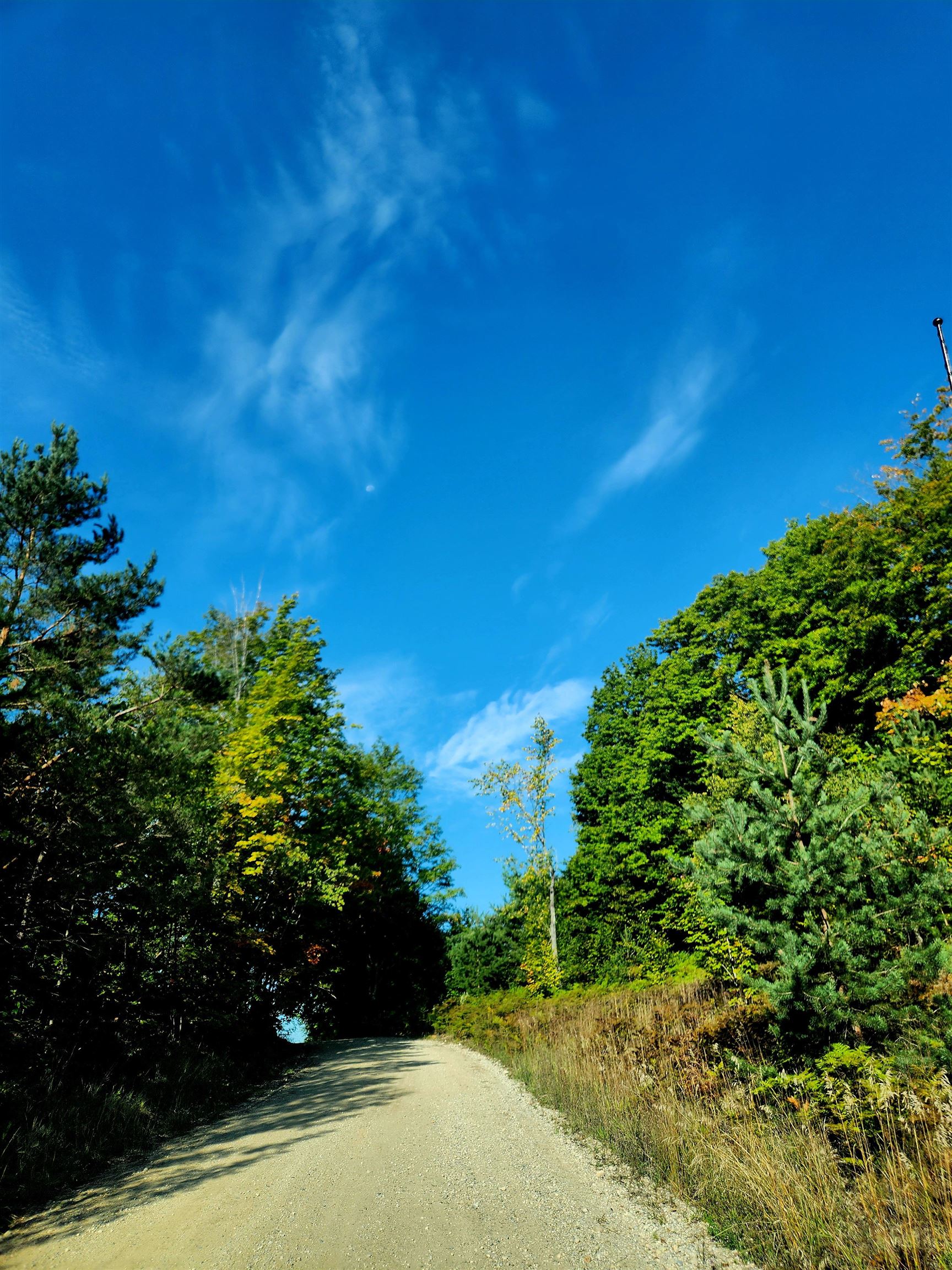 0 State Road Kalkaska, MI 49646 - Photo 7 of 42 Gallery Image 7