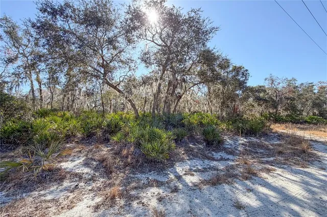 $199,000 | 3201 Scrub Oak Lane, Lake Wales, FL 33898