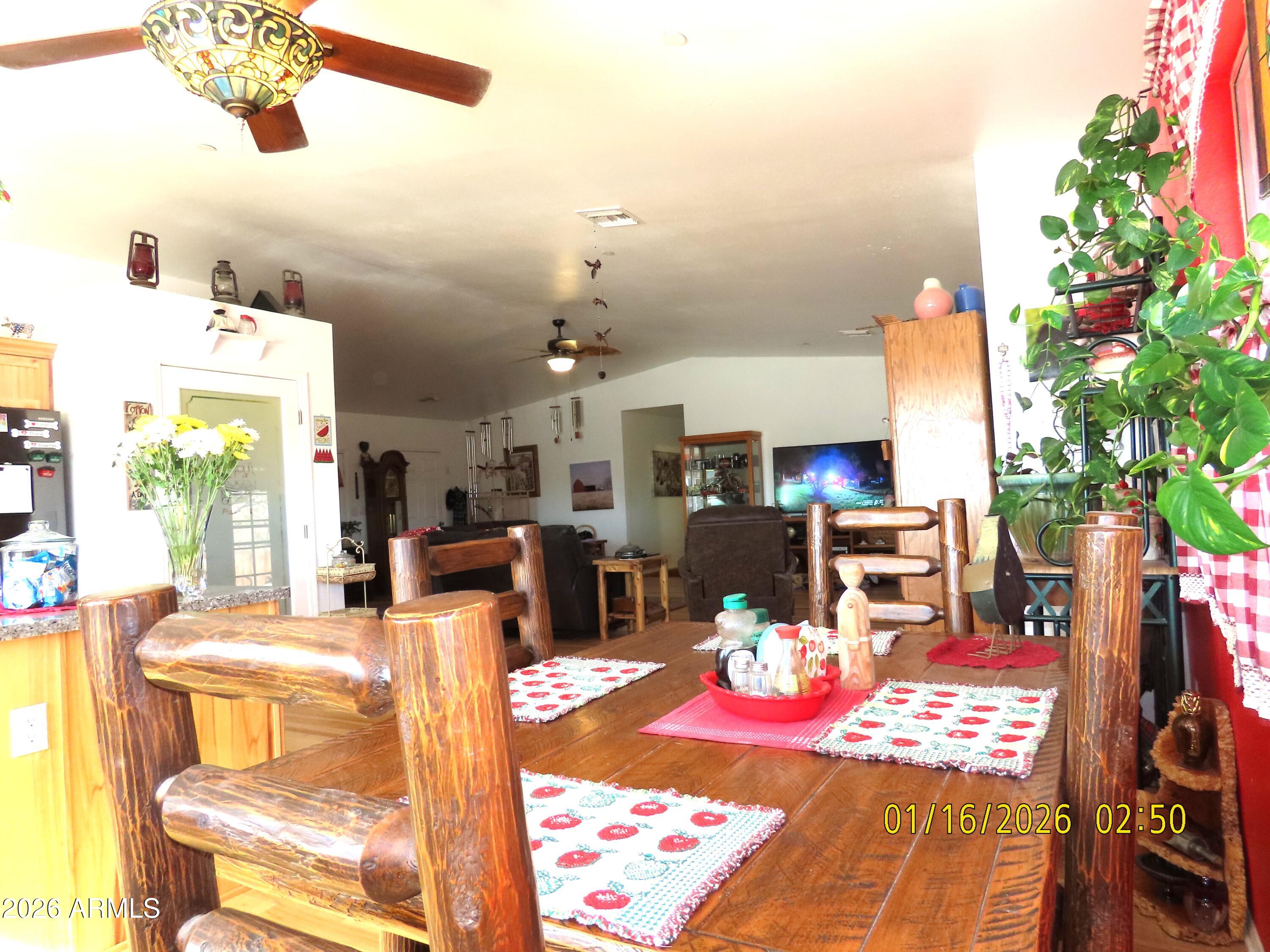 311 North Saddle Vista Road Benson, AZ 85602 - Photo 20 of 36 a living room with fireplace furniture and a potted plant