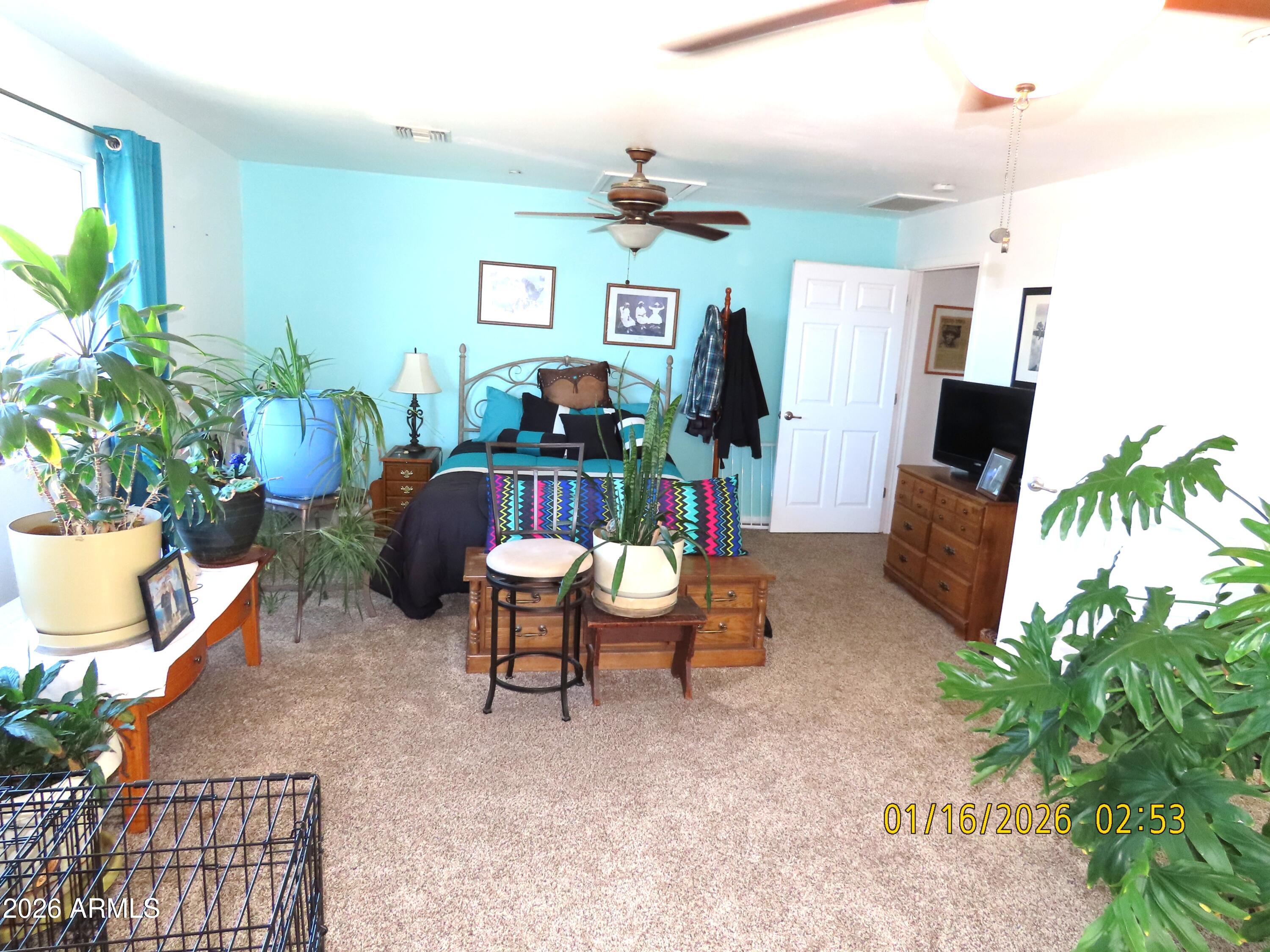 311 North Saddle Vista Road Benson, AZ 85602 - Photo 23 of 36 a living room with furniture and a potted plant