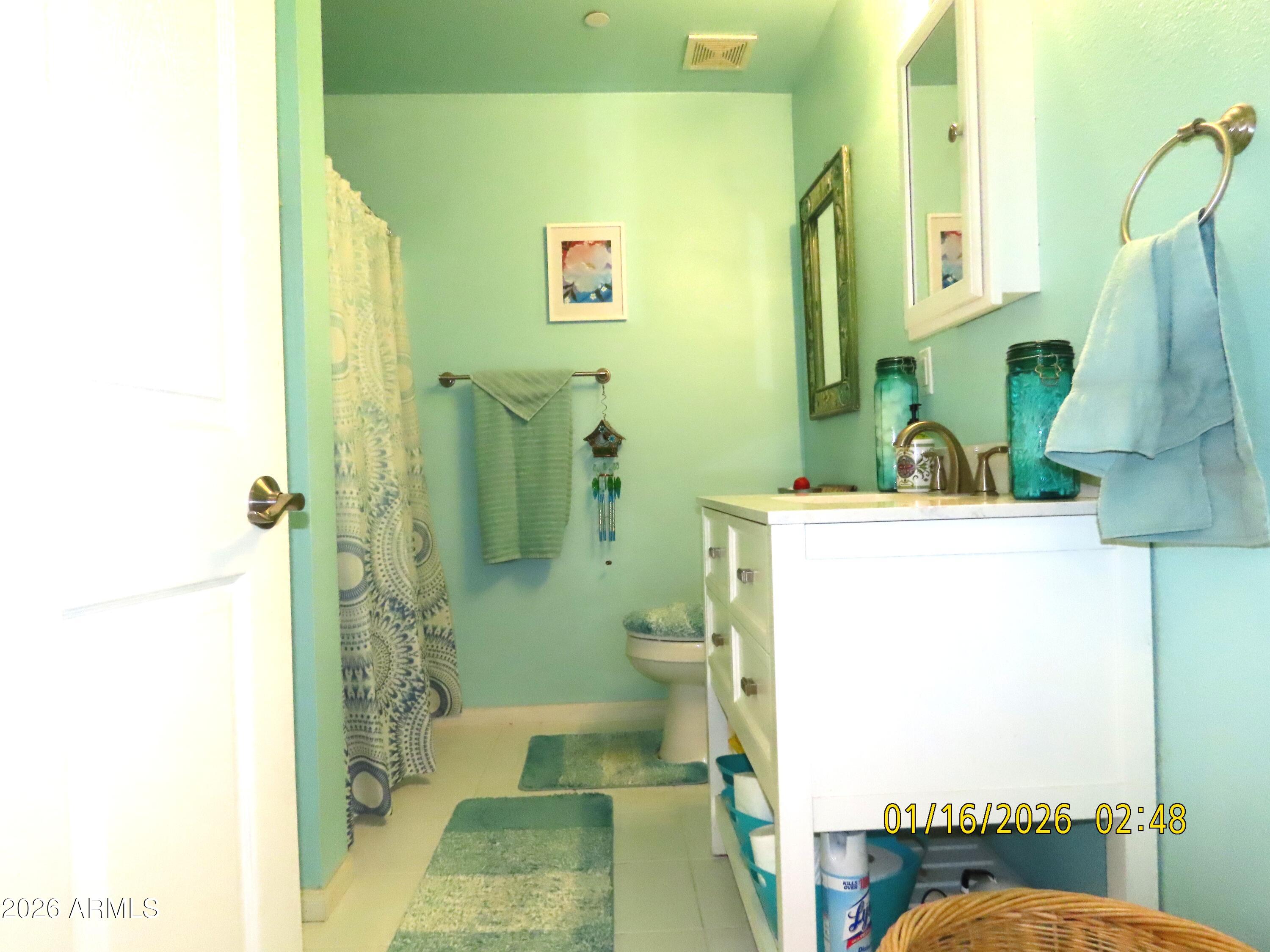 311 North Saddle Vista Road Benson, AZ 85602 - Photo 33 of 36 a bathroom with a sink toilet and shower