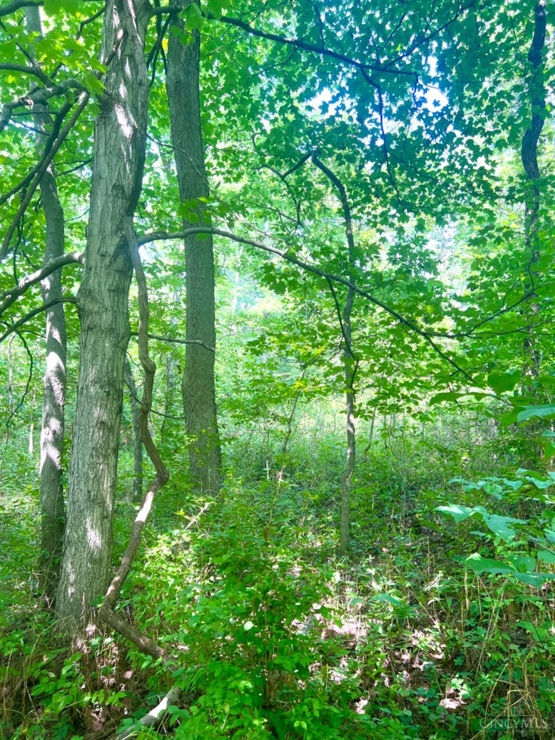 0 Brier Ridge Road West Union, OH 45693 - Photo 92 of 98