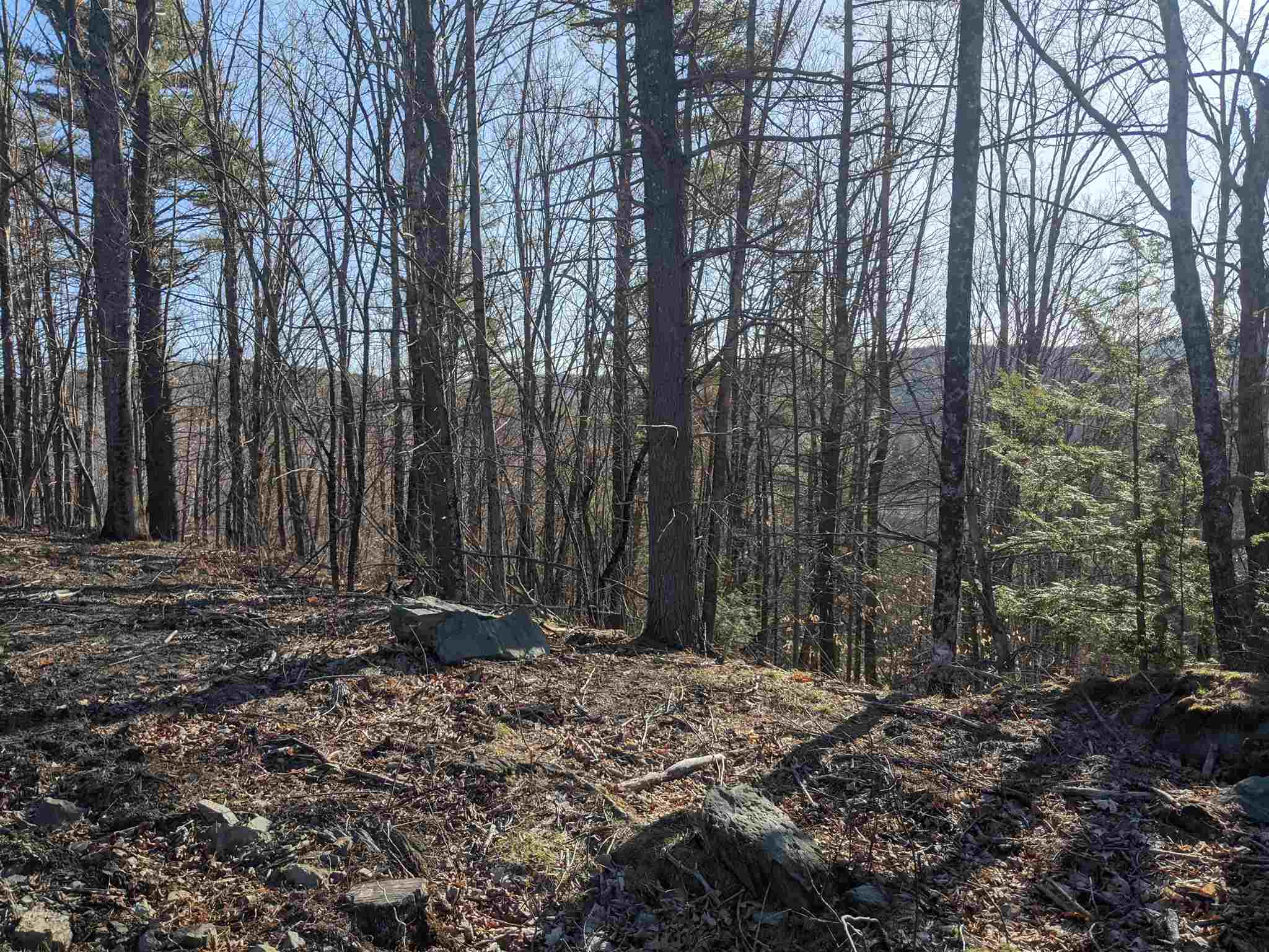 21 Baynes Road, Unit 8 Plainfield, NH 03770 - Photo 3 of 8