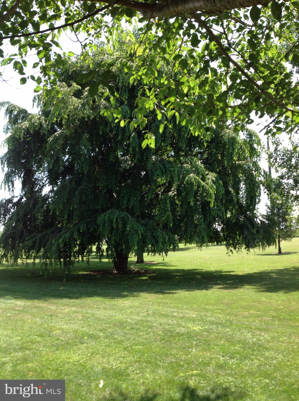 255 Ebenezer Road Halifax, PA 17032 - Photo 13 of 63