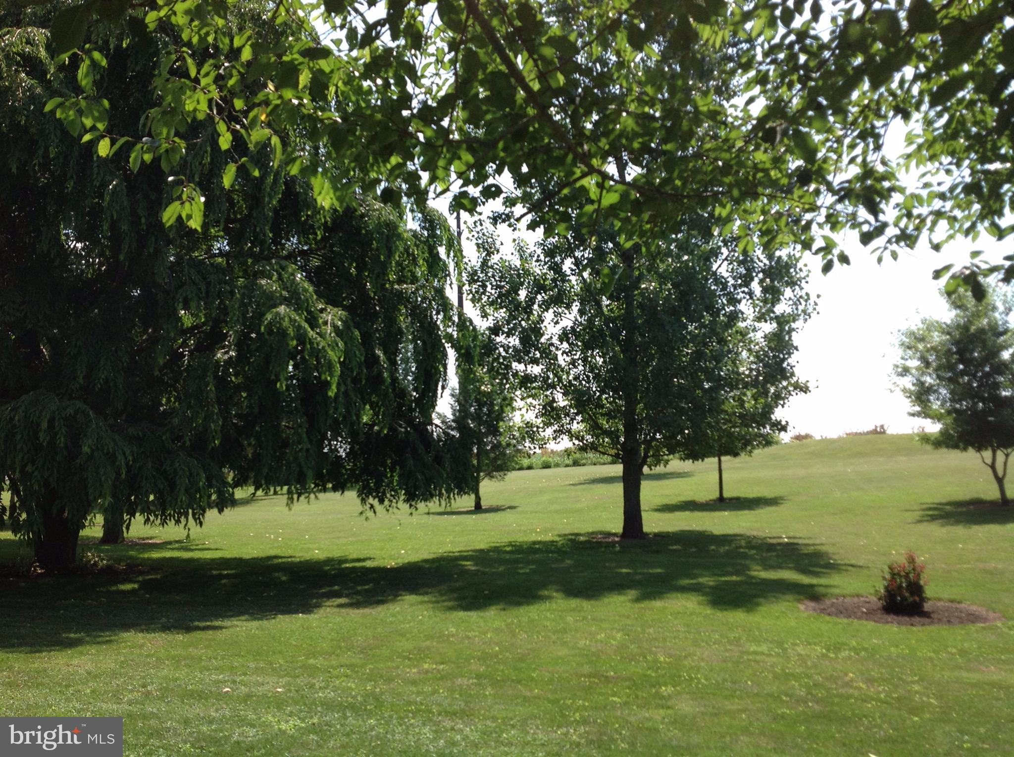 255 Ebenezer Road Halifax, PA 17032 - Photo 14 of 63 a view of a park with large trees