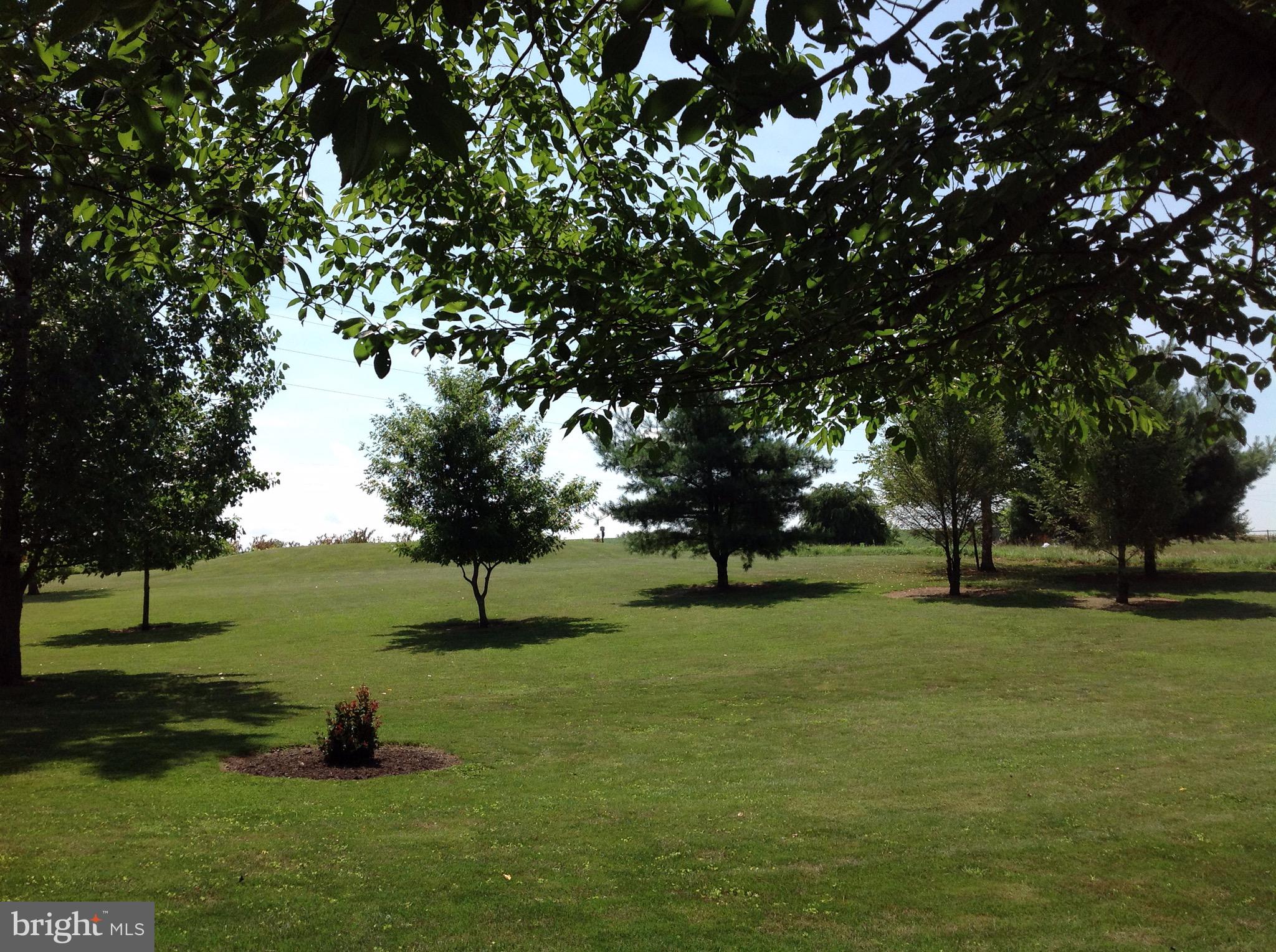255 Ebenezer Road Halifax, PA 17032 - Photo 15 of 63 a park with trees in the background