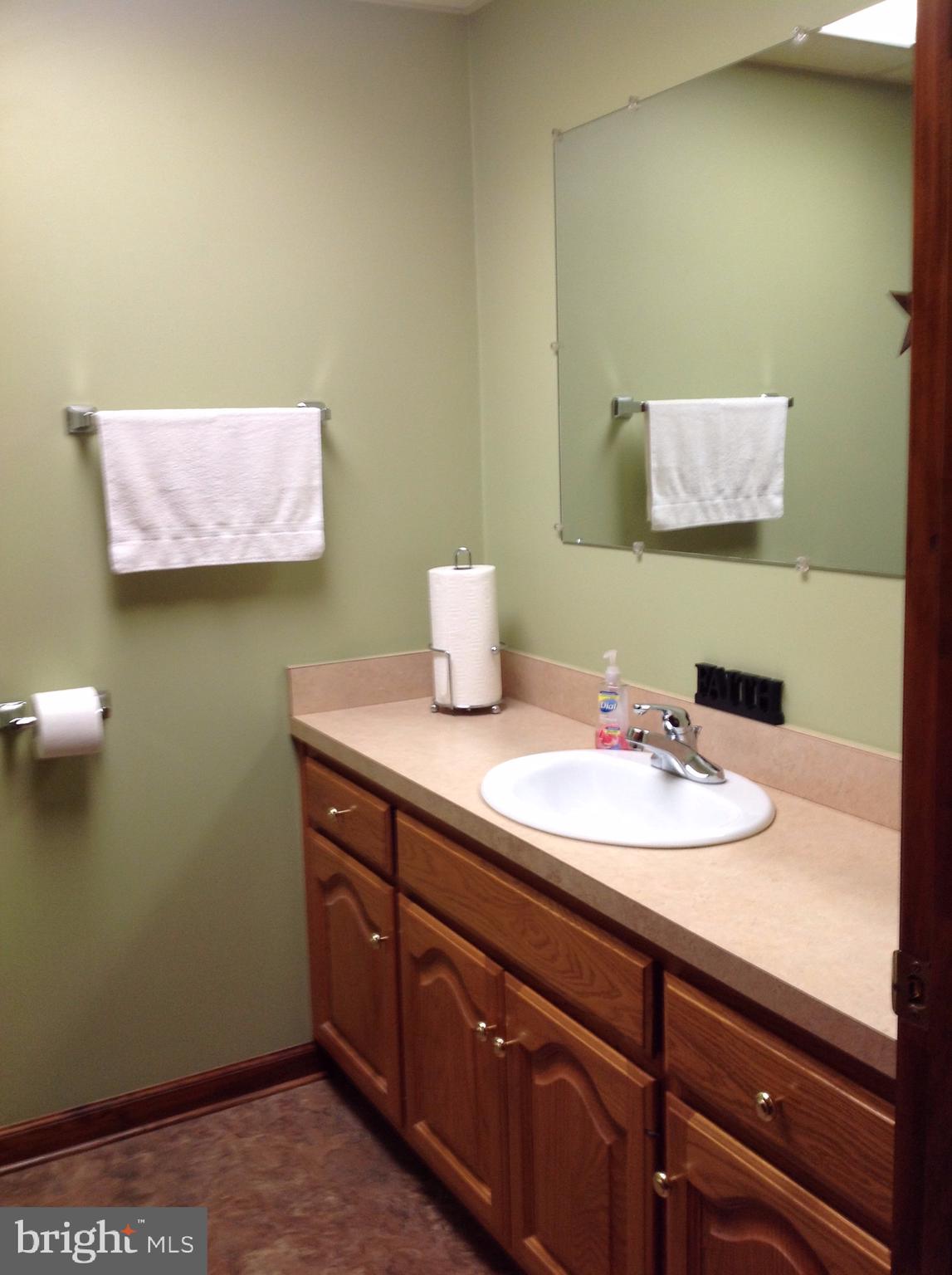 255 Ebenezer Road Halifax, PA 17032 - Photo 56 of 63 a bathroom with a sink and a mirror