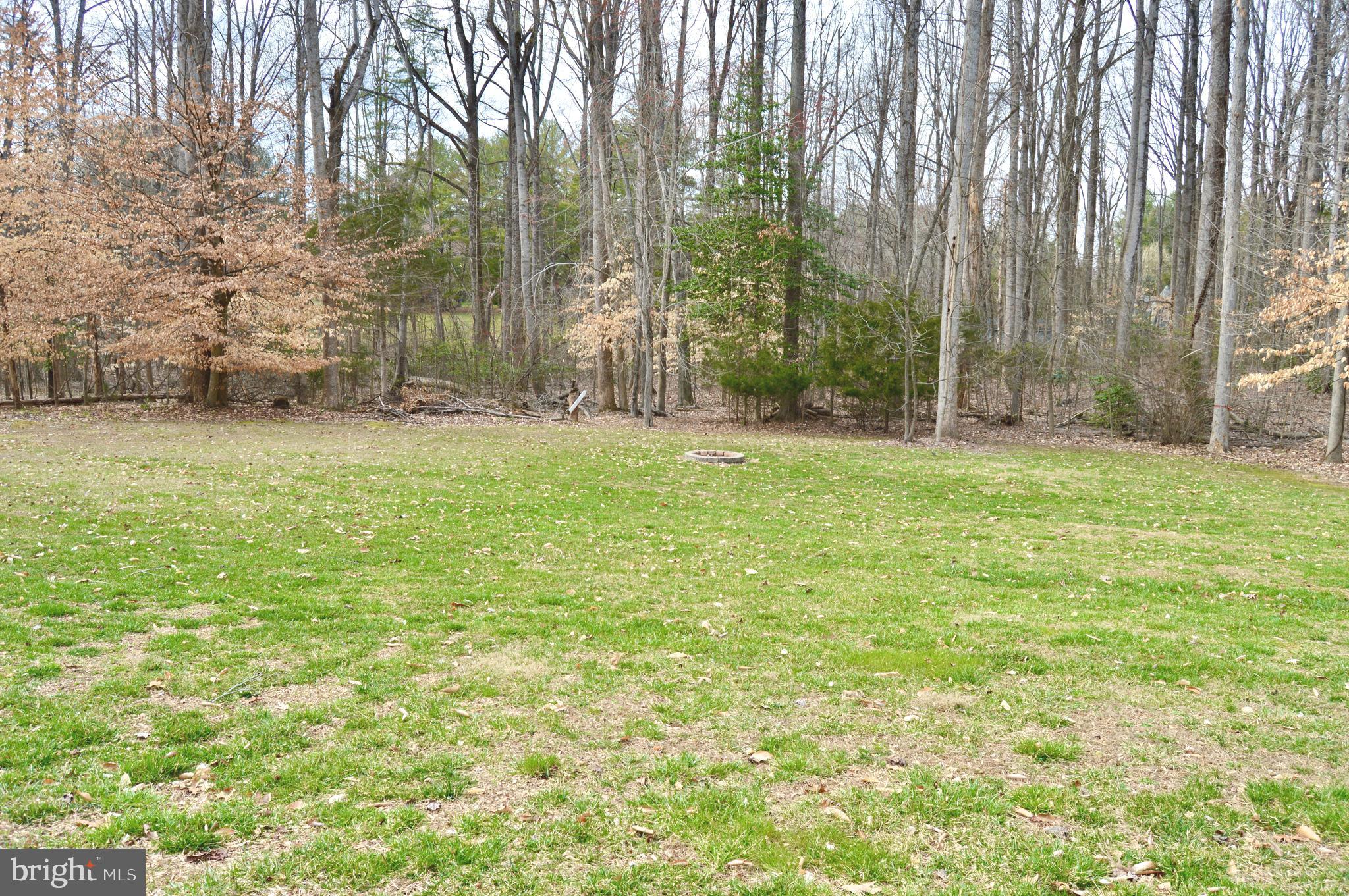 1549 Moody Town Road Bumpass, VA 23024 - Photo 39 of 58 Rear yard