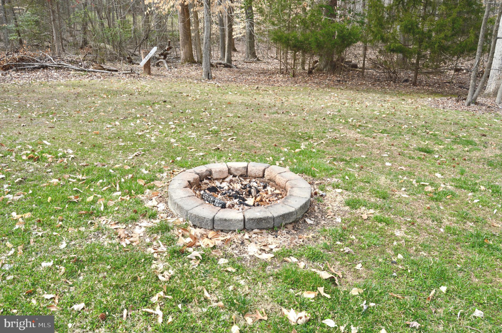1549 Moody Town Road Bumpass, VA 23024 - Photo 40 of 58 Fire Pit in Rear Yard