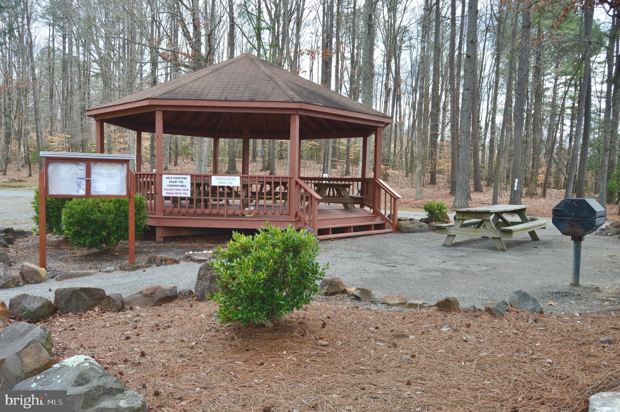 1549 Moody Town Road Bumpass, VA 23024 - Photo 46 of 58 Picnic Area w/grill