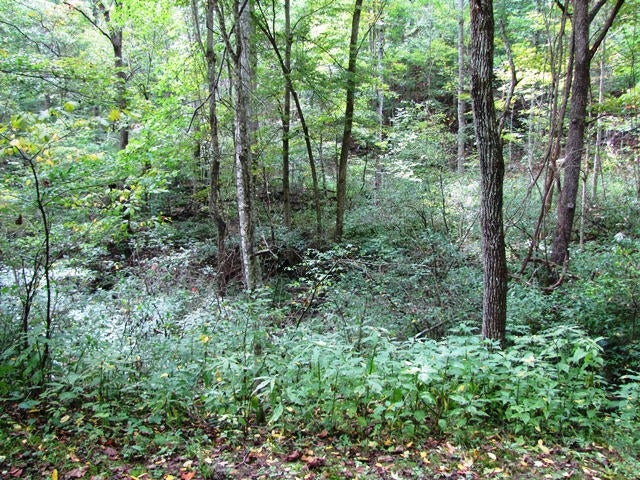212 Dry Pond School Road Lindside, WV 24951 - Photo 20 of 38 Gallery Image 20