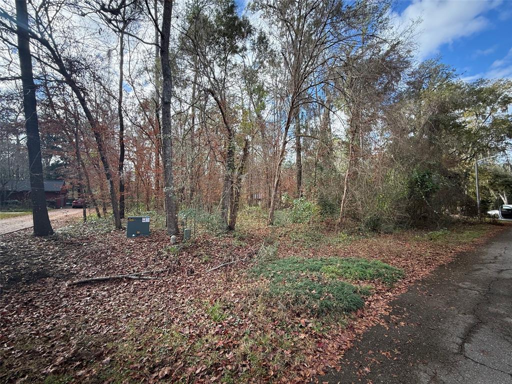 148th Place Alachua, FL 32615 - Photo 3 of 4