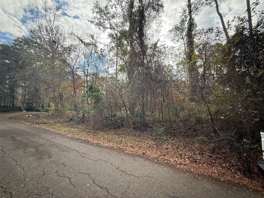 148th Place Alachua, FL 32615 - Photo 4 of 4