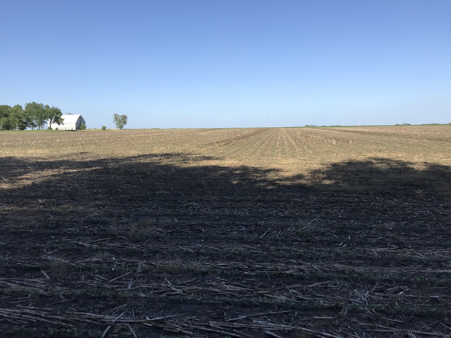 9660 South Kodat Road Dwight, IL 60420 - Photo 4 of 18 a view of an ocean