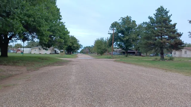a view of a park with tree s