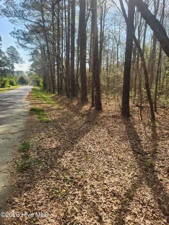 $15,000 | Lot 27 Peed Road, Chocowinity, NC 27817