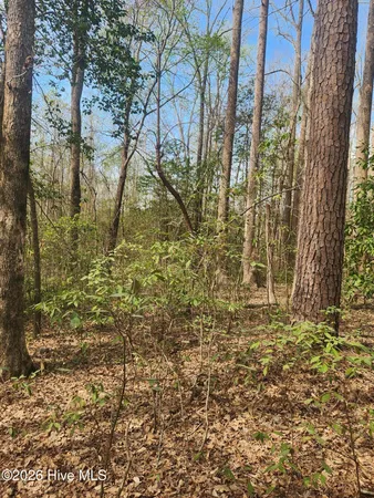 $15,000 | Lot 27 Peed Road, Chocowinity, NC 27817