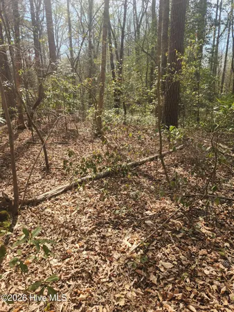$15,000 | Lot 27 Peed Road, Chocowinity, NC 27817