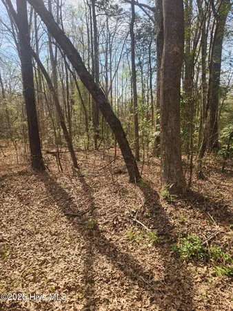 $15,000 | Lot 27 Peed Road, Chocowinity, NC 27817
