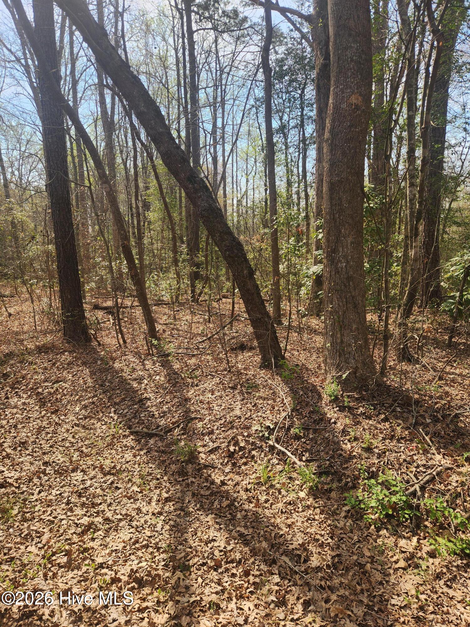 Lot 27 Peed Road Chocowinity, NC 27817 - Photo 8 of 8 20260323_111848