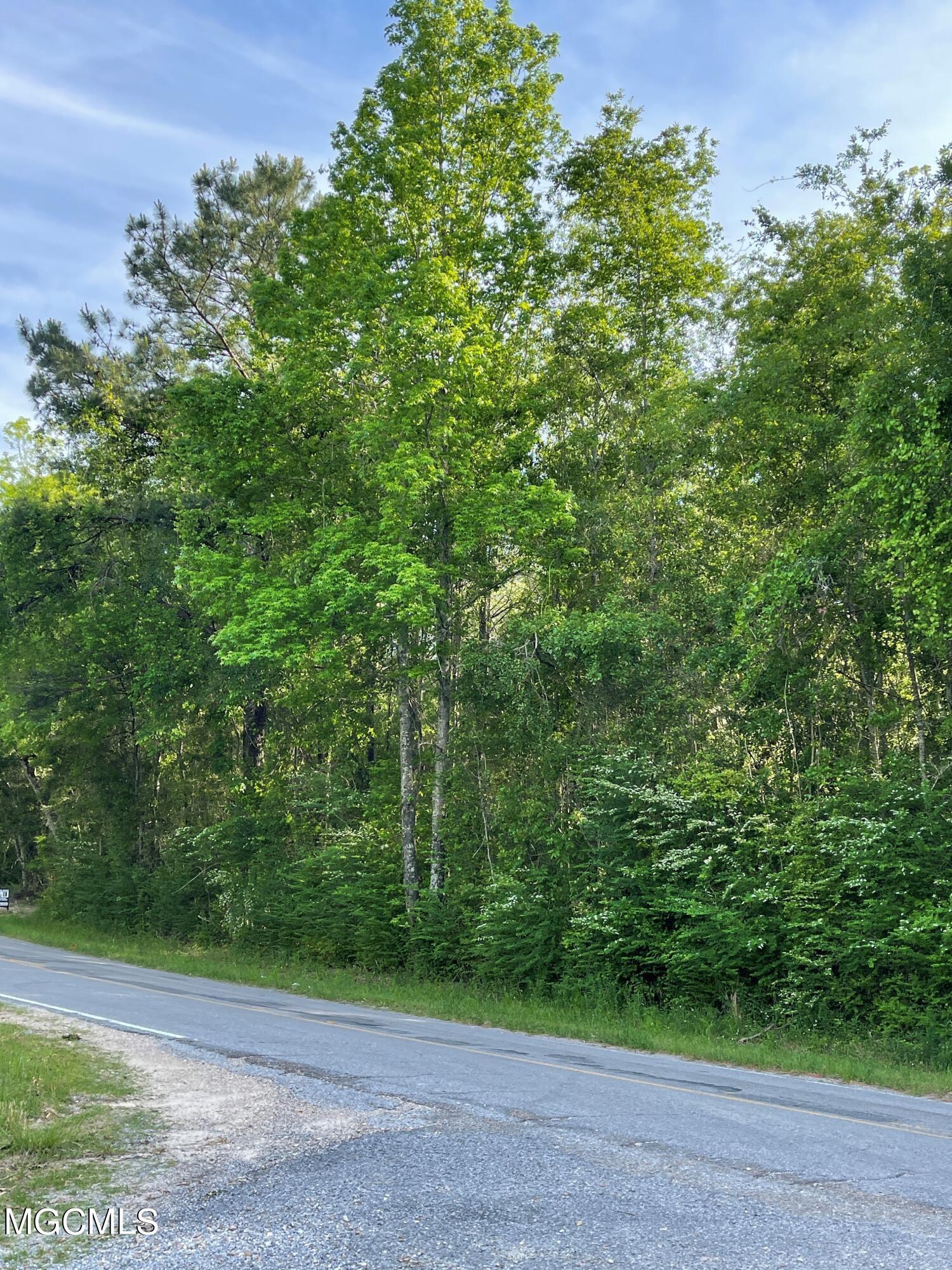 0 Wire Road West Perkinston, MS 39573 - Photo 1 of 5 PIC