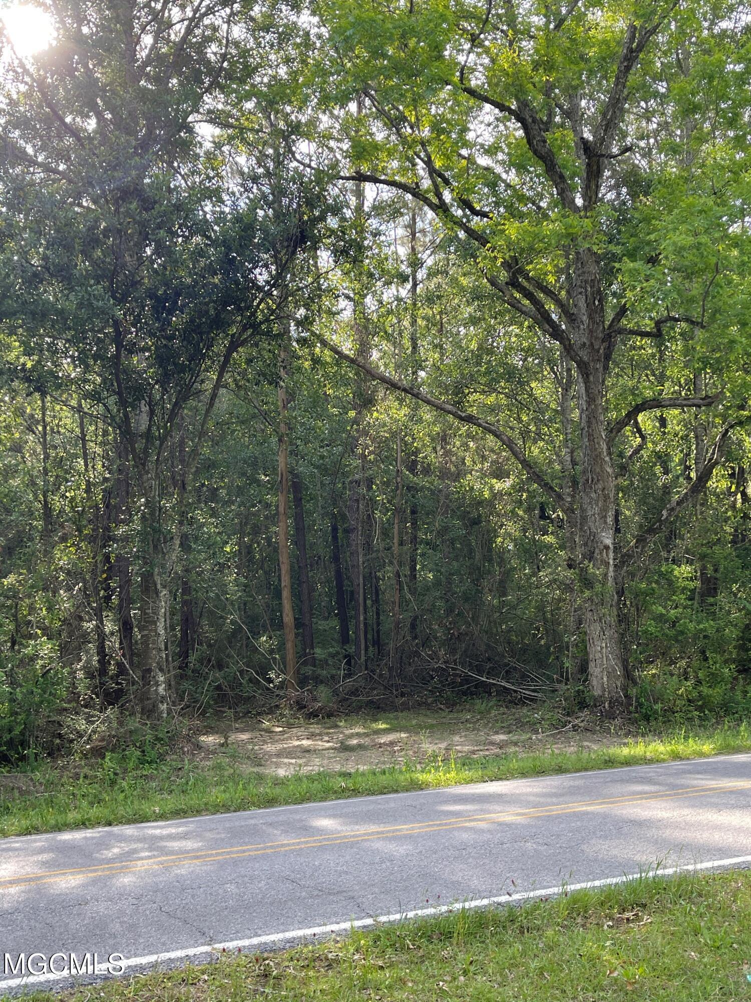 0 Wire Road West Perkinston, MS 39573 - Photo 2 of 5 PIC2