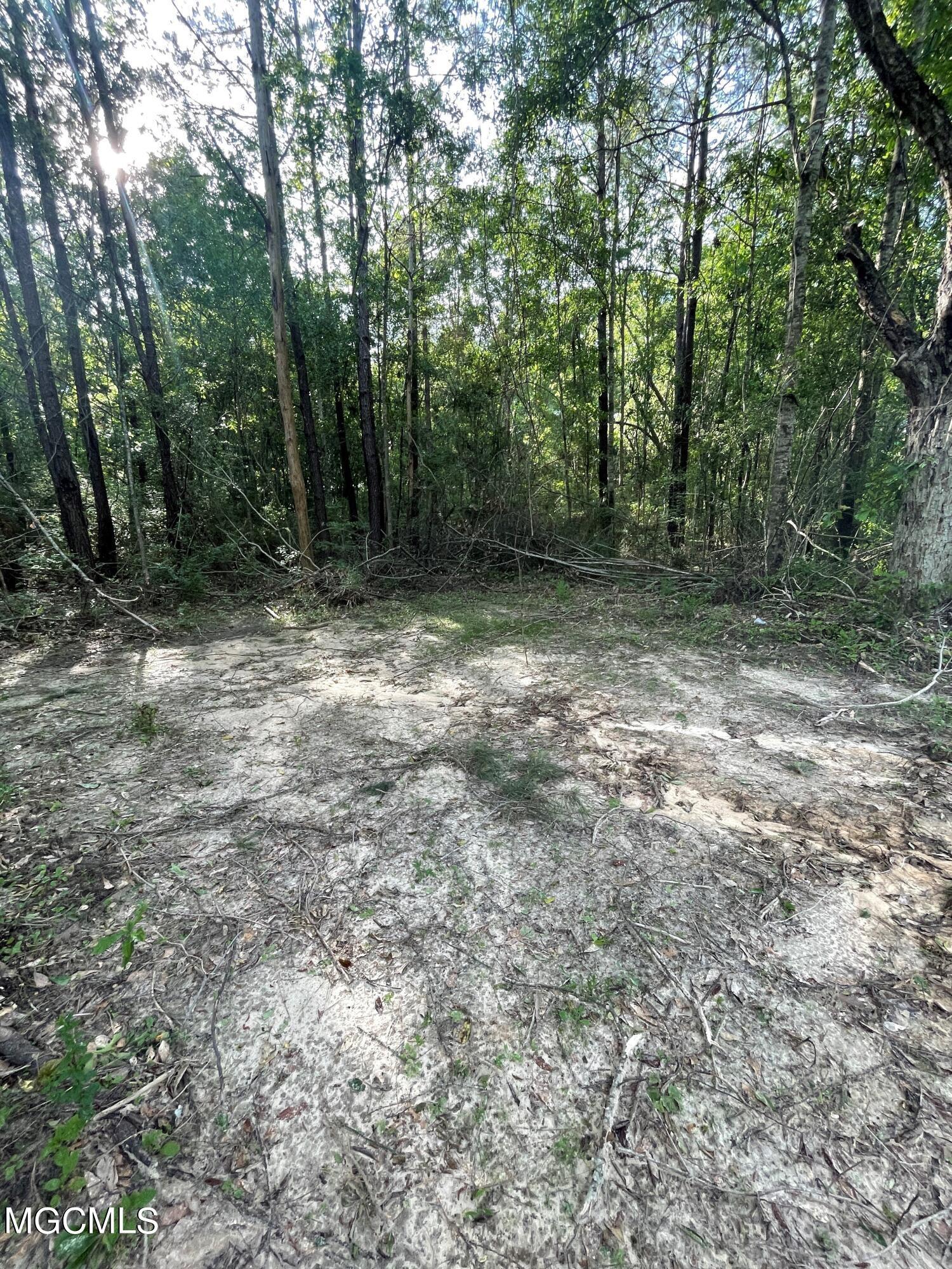 0 Wire Road West Perkinston, MS 39573 - Photo 3 of 5 PIC3
