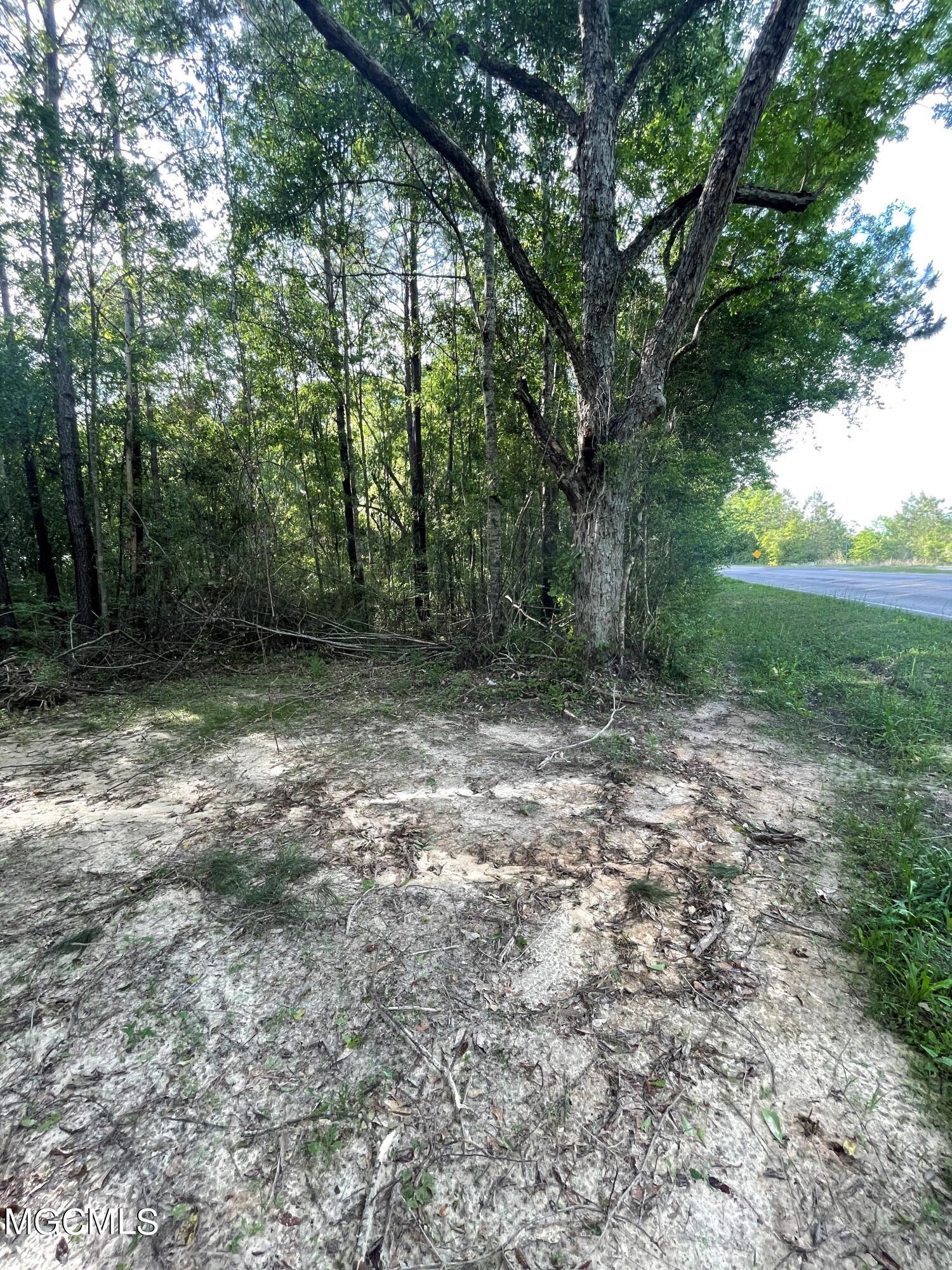 0 Wire Road West Perkinston, MS 39573 - Photo 4 of 5 pic4