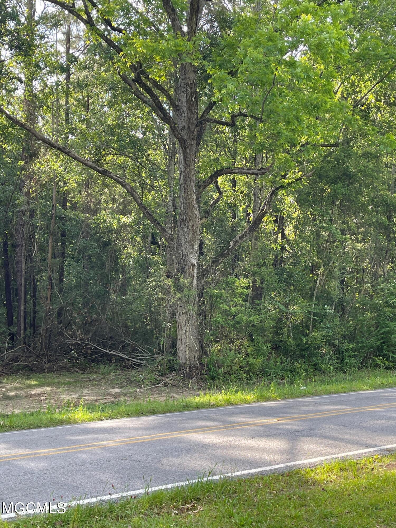 0 Wire Road West Perkinston, MS 39573 - Photo 5 of 5 pic5