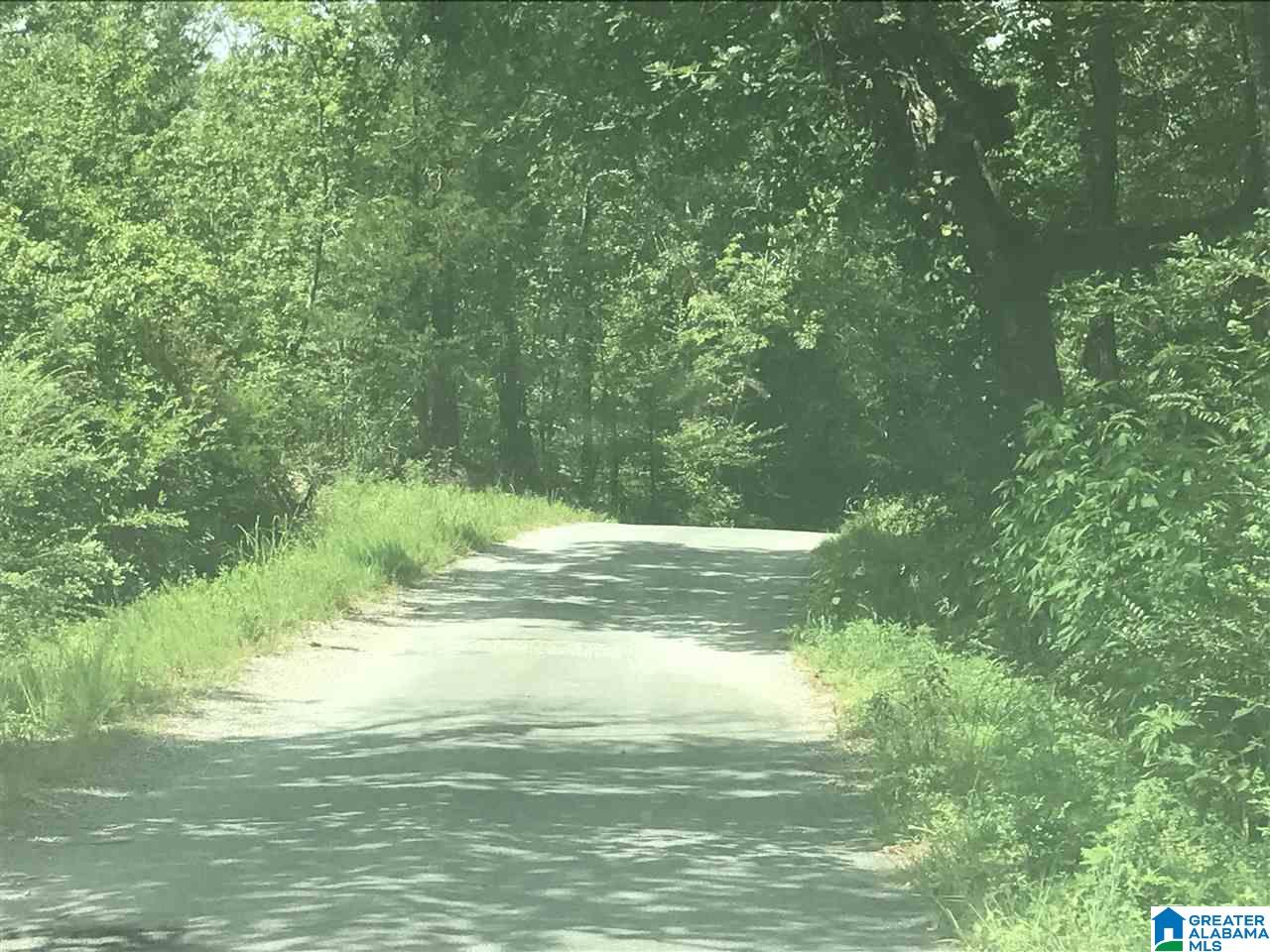 Lot 9 Overlook Road, Unit LOT 9 Blountsville, AL 35031 - Photo 1 of 1