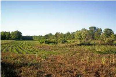 1804 Sanilac Road Caro, MI 48723 - Photo 1 of 1 Primary Photo