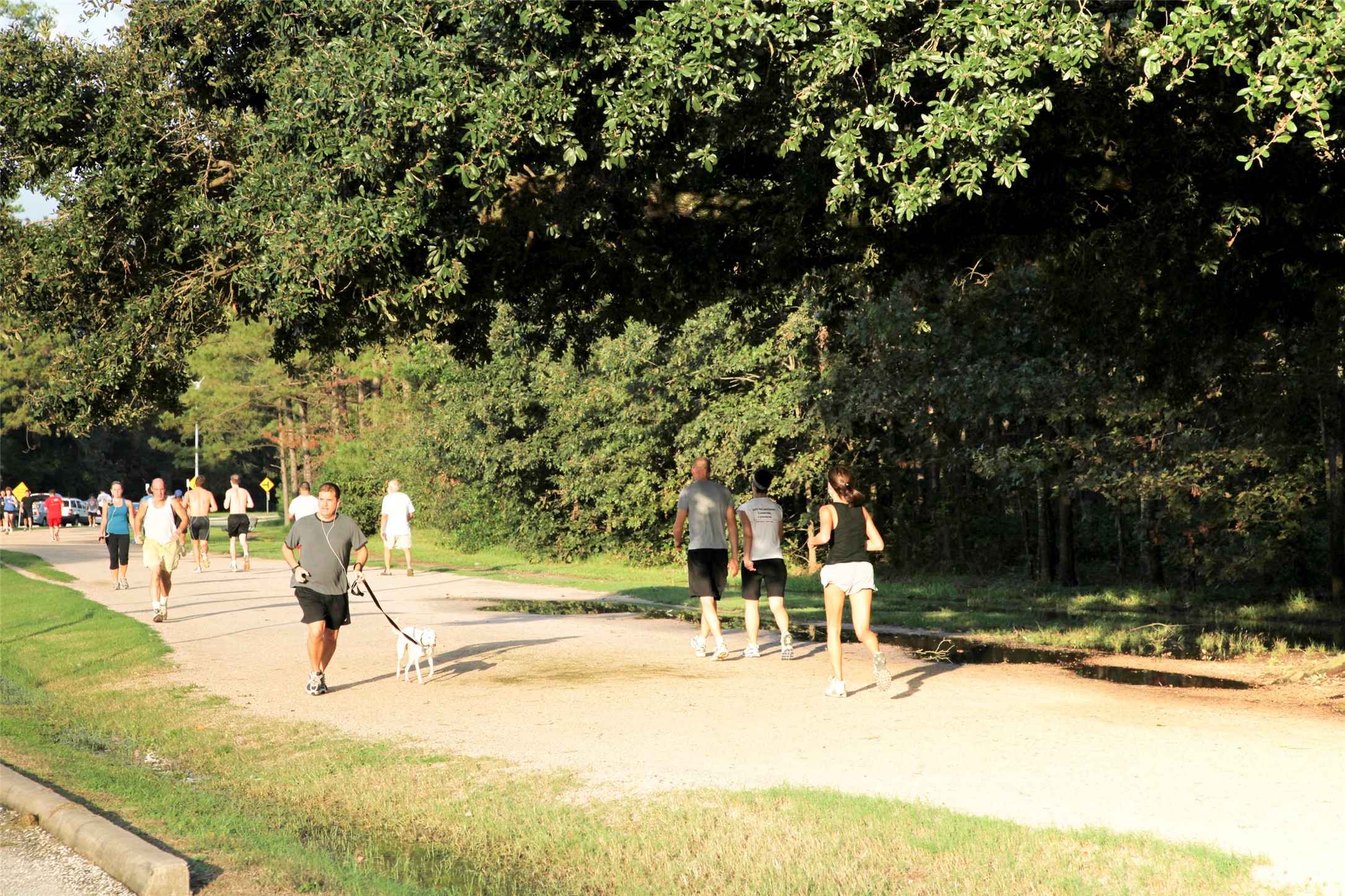 1505 Detering Street Houston, TX 77007 - Photo 26 of 27 a park view with a fountain