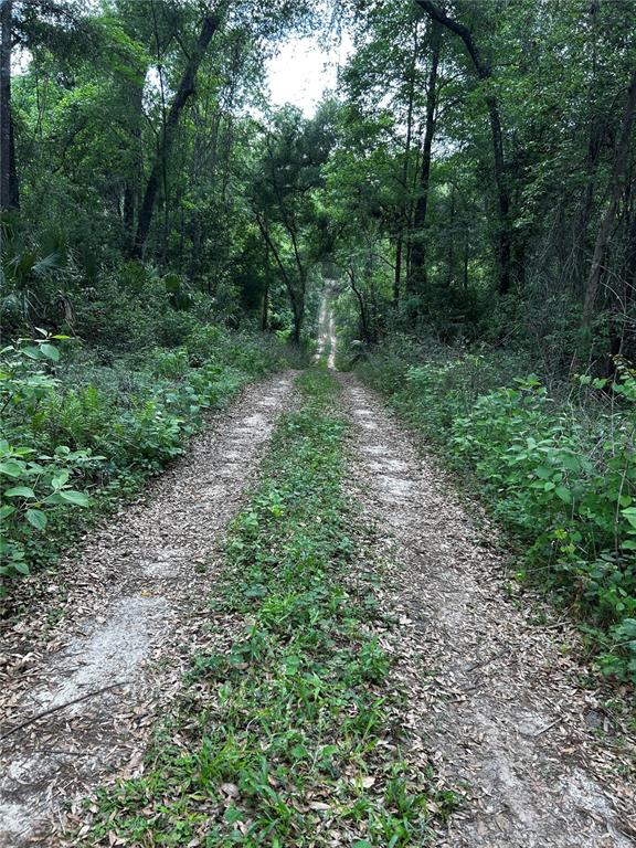 Tbd Northwest 123rd Place Citra, FL 32113 - Photo 2 of 4 Gallery Image 2