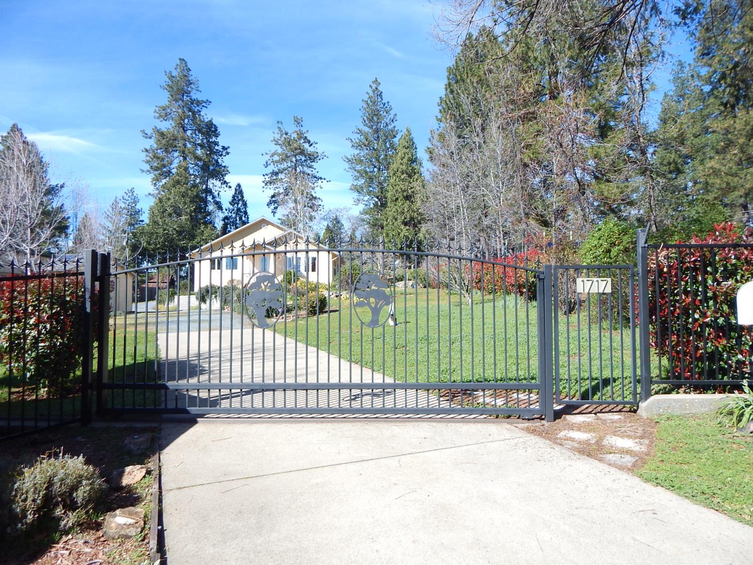 1717 Union Ridge Road Placerville, CA 95667 - Photo 2 of 55 a view of a garden with a small plants