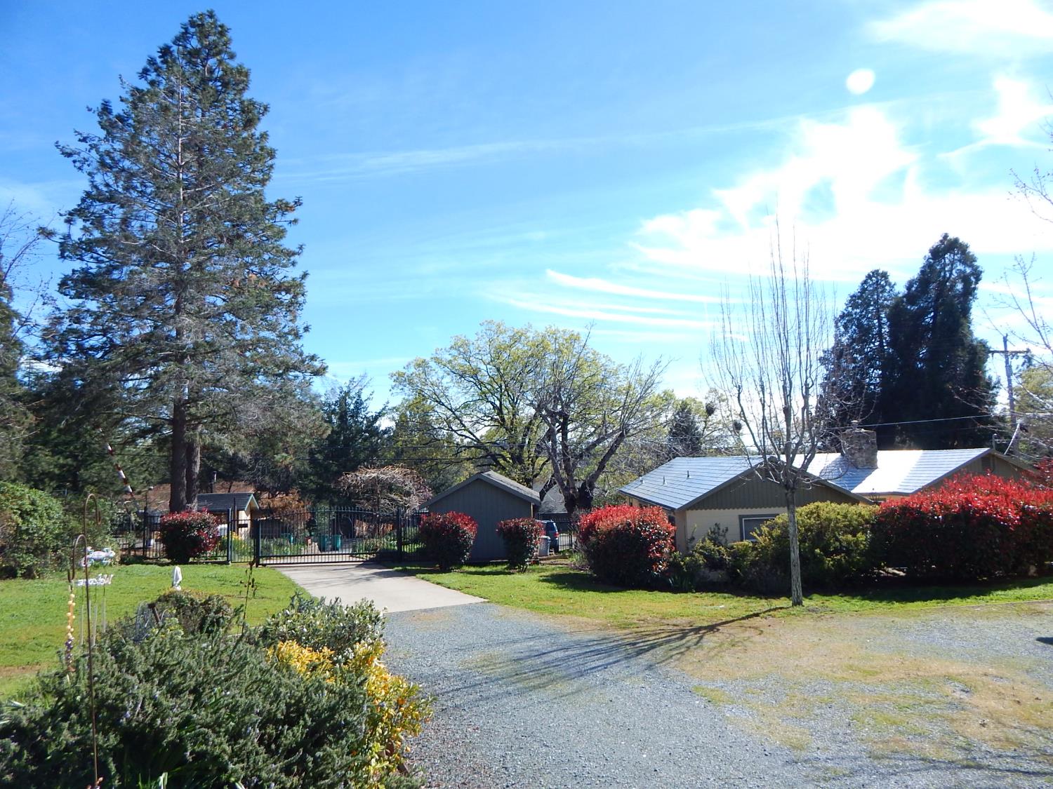 1717 Union Ridge Road Placerville, CA 95667 - Photo 31 of 55 a view of a park with large trees